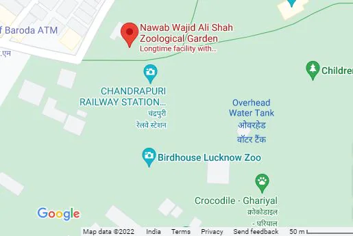 Lucknow news, Uttar pradesh, Nawab Wajid Ali Shah zoo, Lucknow Zoo, Male Himalayan black bear, zoo Hospital, up news, lucknow zoological garden, नवाब वाजिद अली शाह, लखनऊ चिड़ियाघर, हिमालयन काला भालू, नागालैंड